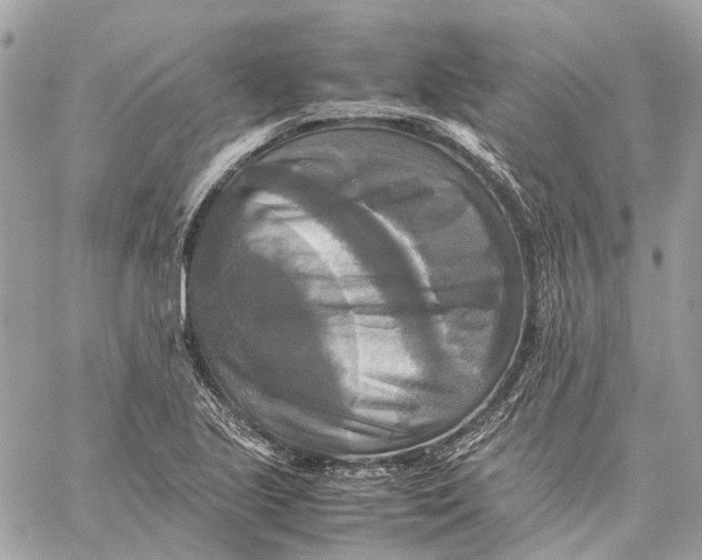 X0000059231221200511041233