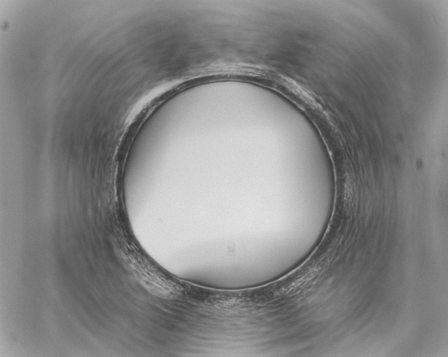 X0000059231222200511041233