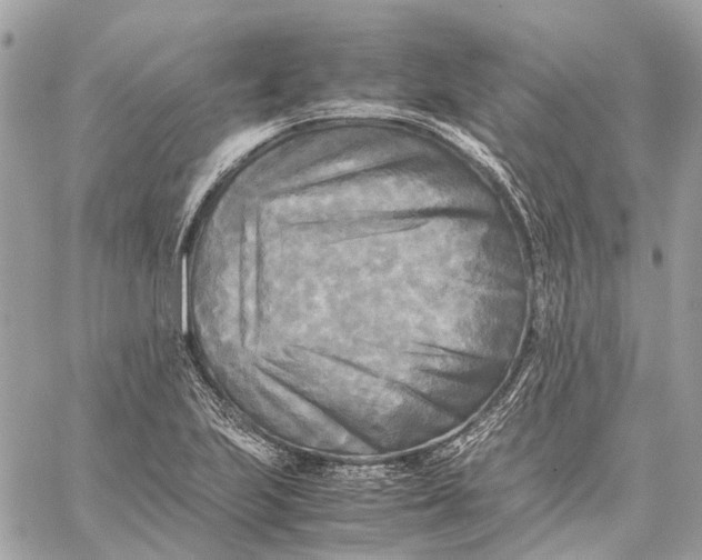 X0000059231223200511041233