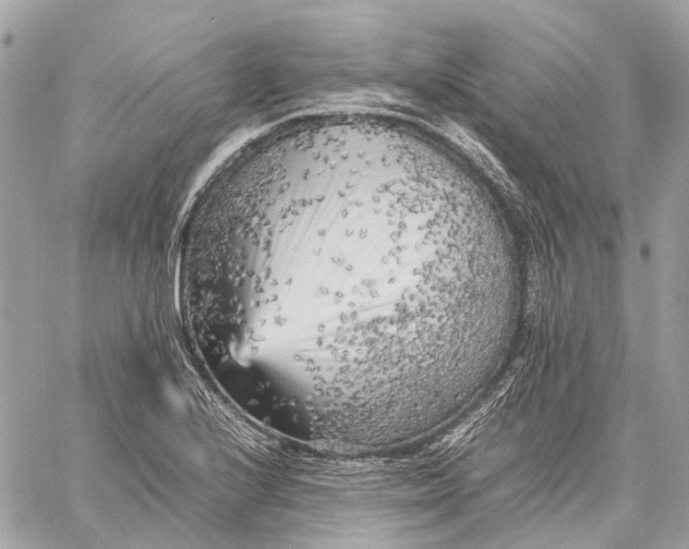 X0000059231224200511041233