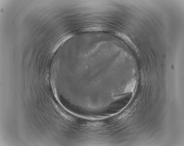 X0000059231225200511041233