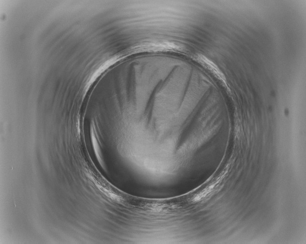 X0000059231226200511041233