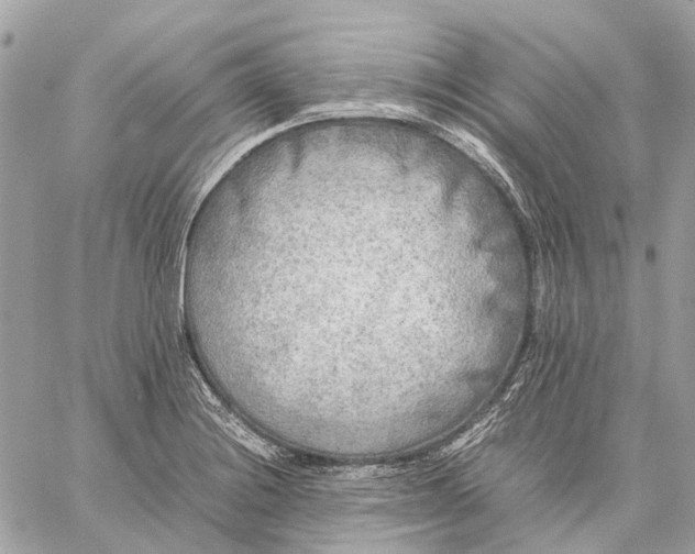 X0000059231228200511041233