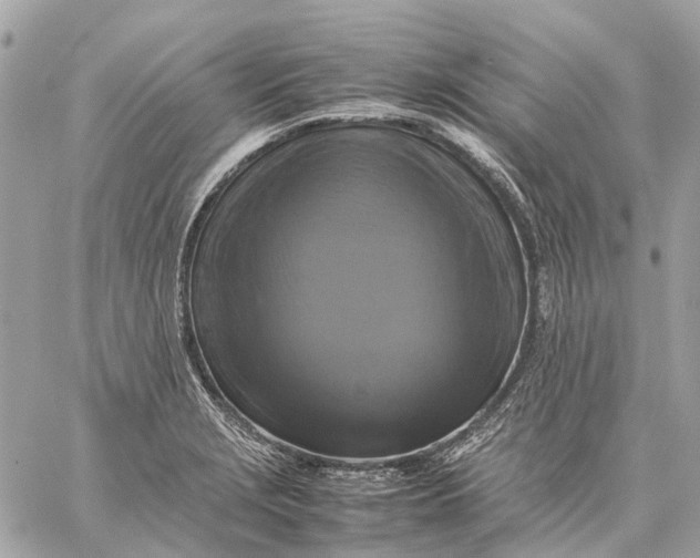 X0000059231229200511041233