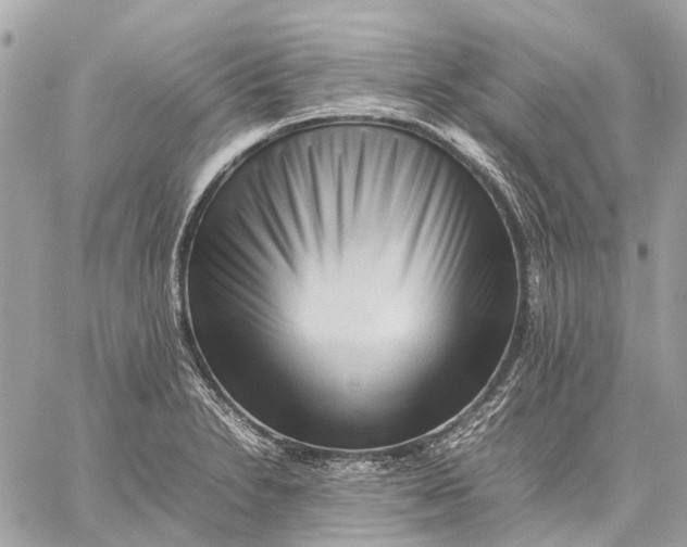 X0000059231230200511041233