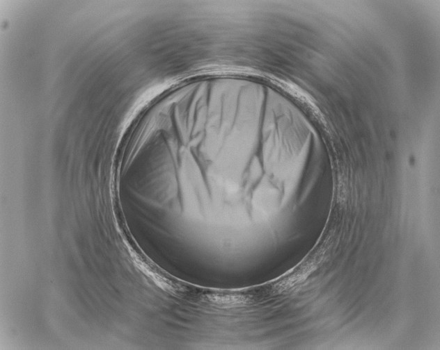 X0000059231231200511041233