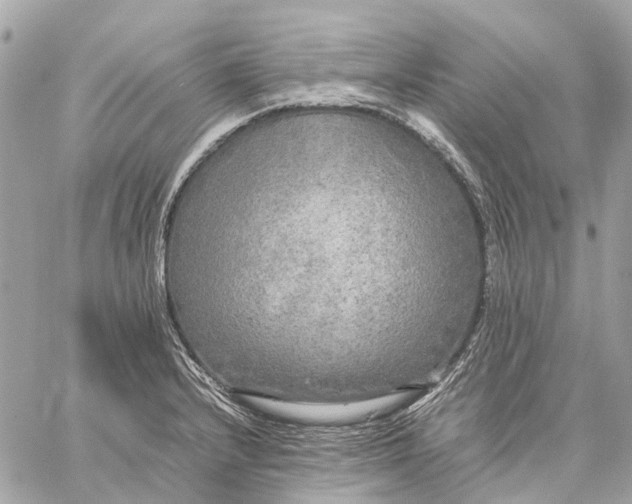 X0000059231232200511041233