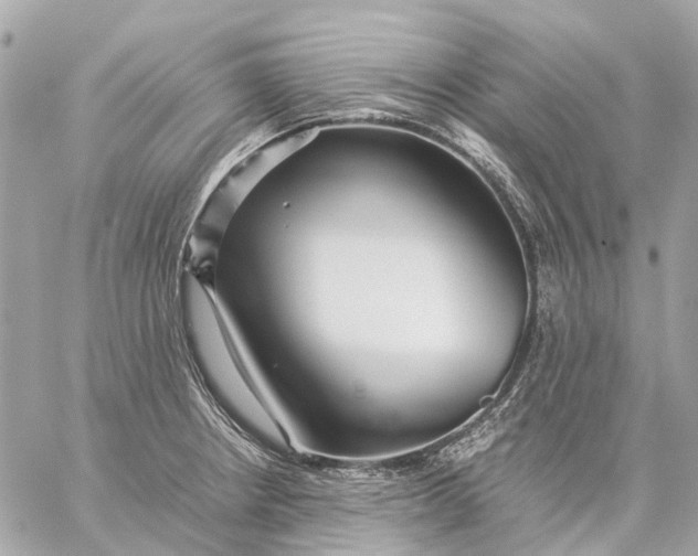 X0000059231234200511041233