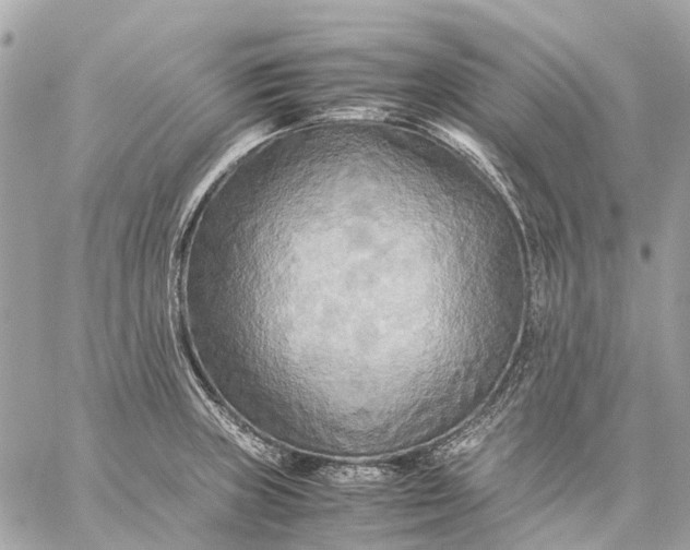 X0000059231235200511041233