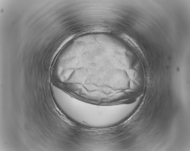 X0000059231236200511041233