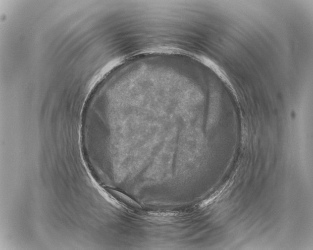 X0000059231237200511041233