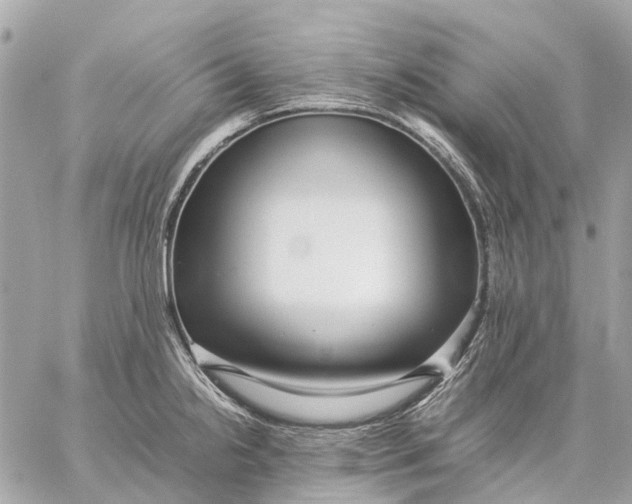 X0000059231238200511041233