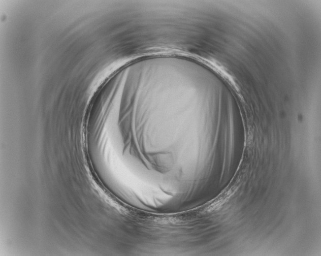 X0000059231239200511041233