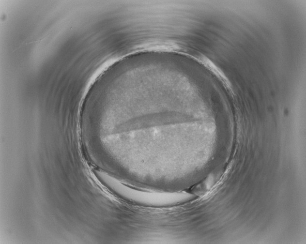 X0000059231240200511041233