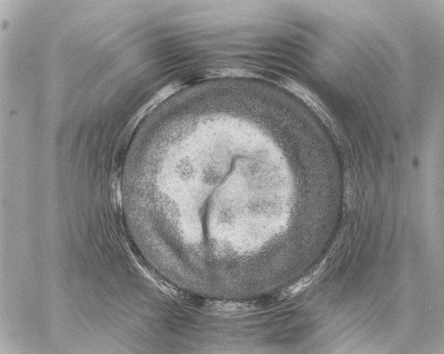 X0000059231241200511041233