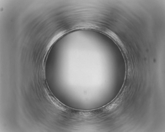 X0000059231242200511041233