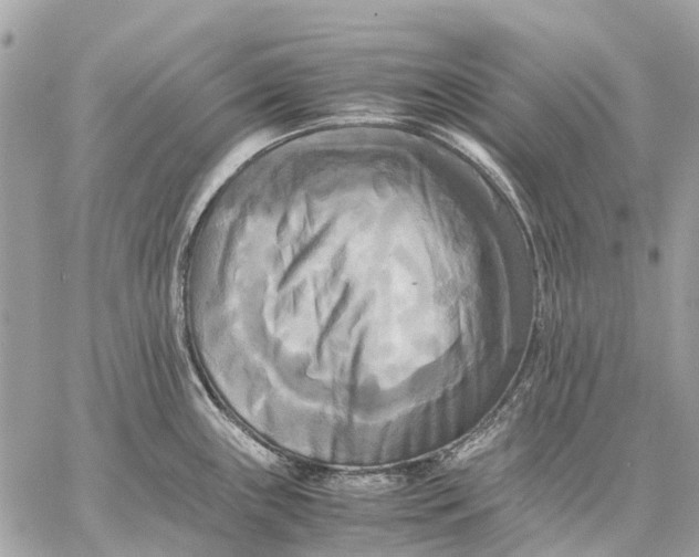 X0000059231243200511041233