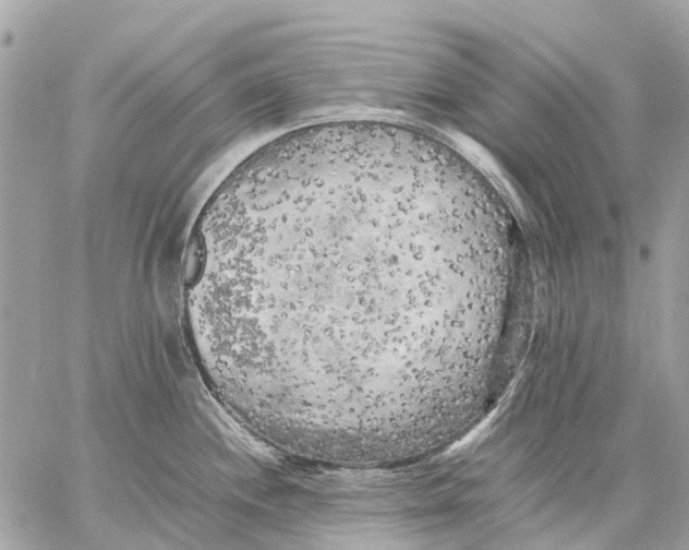 X0000059231244200511041233