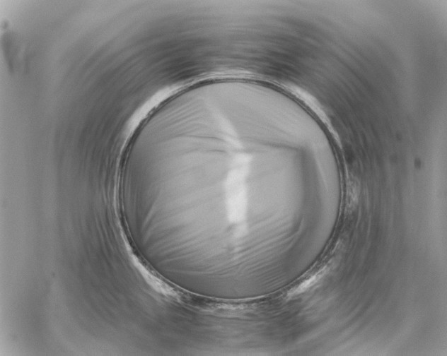 X0000059231245200511041233