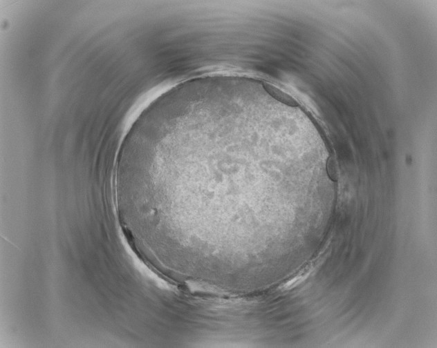 X0000059231247200511041233