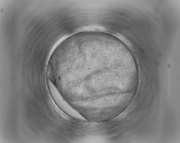 X0000059231248200511041233