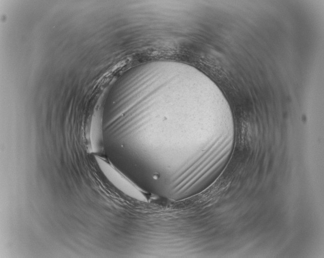 X0000059231250200511041233