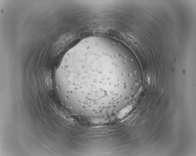 X0000059231252200511041233