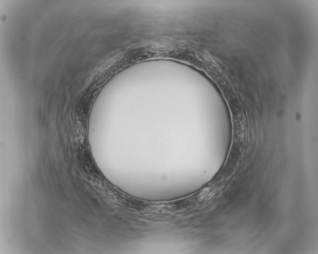 X0000059231253200511041233