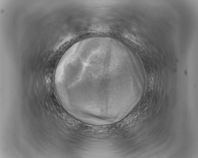 X0000059231254200511041233