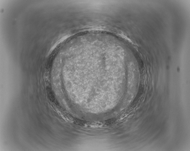 X0000059231255200511041233