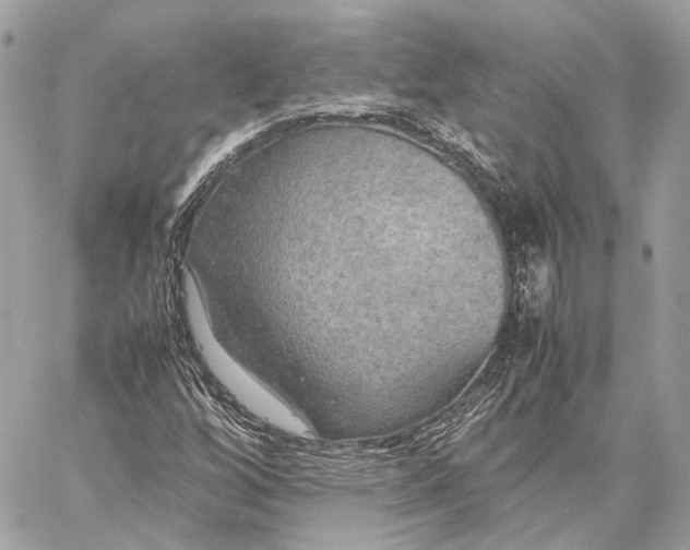 X0000059231256200511041233