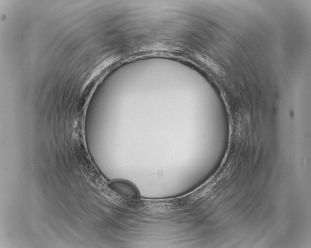 X0000059231258200511041232