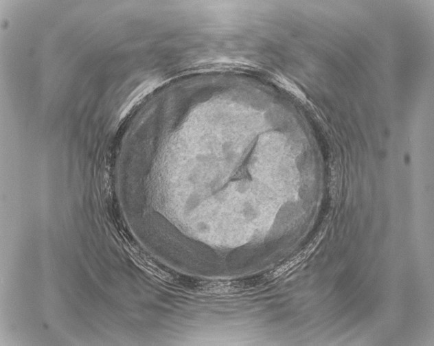 X0000059231259200511041232