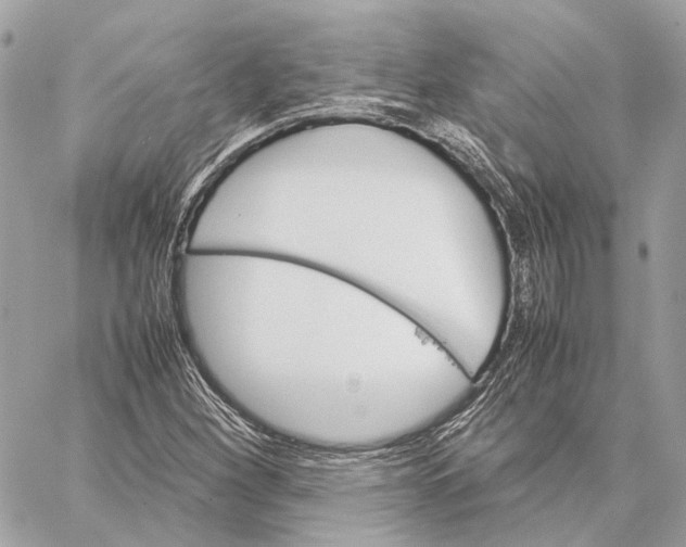 X0000059231260200511041232