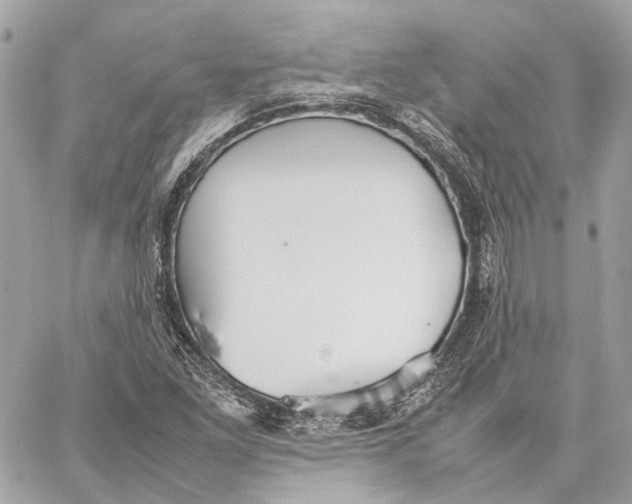 X0000059231261200511041232