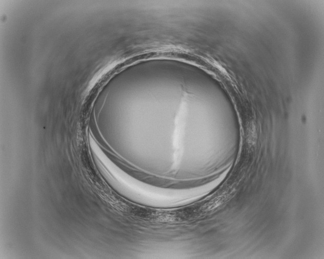 X0000059231263200511041232