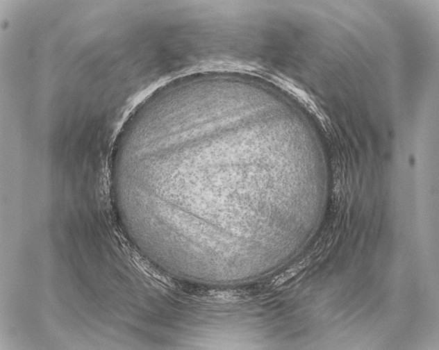 X0000059231264200511041232