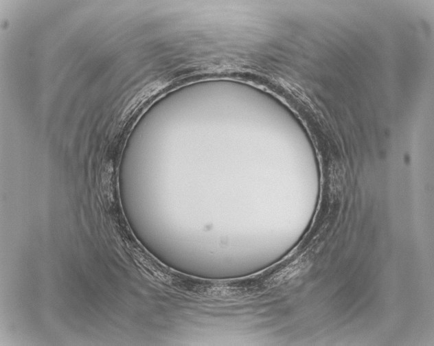 X0000059231265200511041232