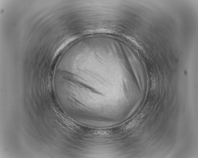 X0000059231266200511041232