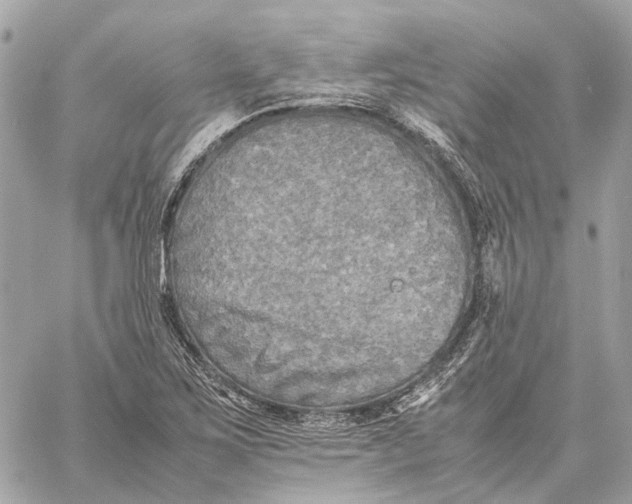 X0000059231267200511041232