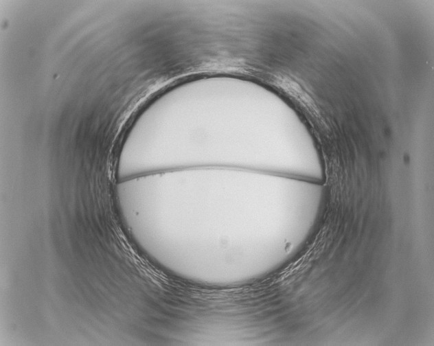 X0000059231268200511041232