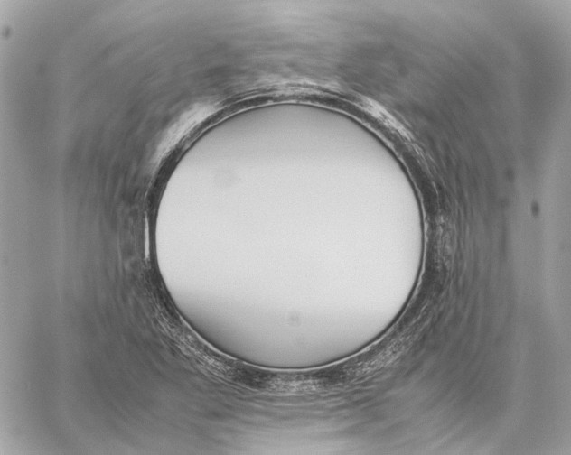 X0000059231269200511041232