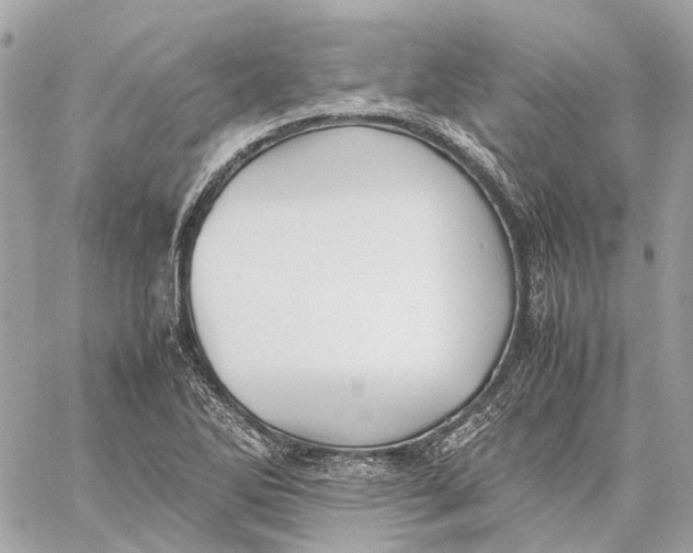 X0000059231270200511041232