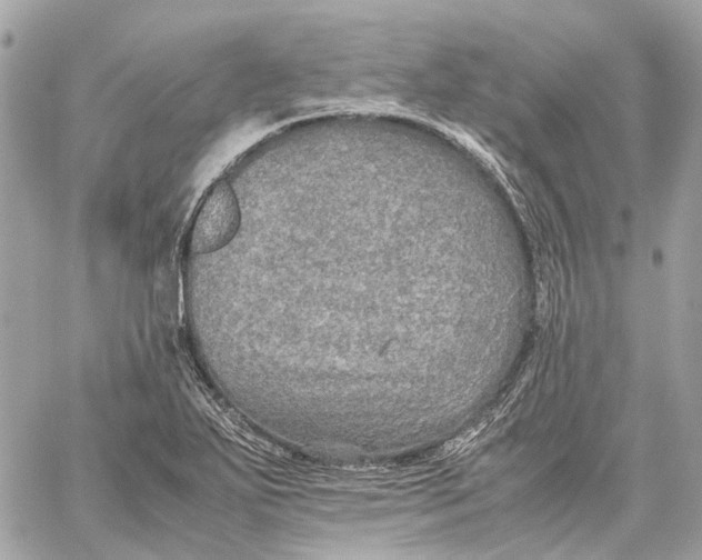 X0000059231271200511041232