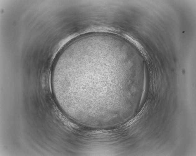 X0000059231272200511041232