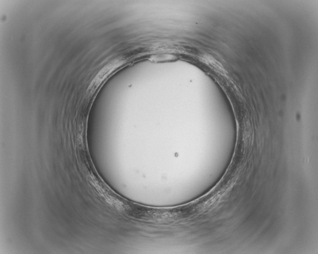 X0000059231273200511041232