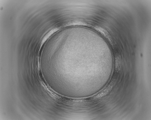 X0000059231274200511041232