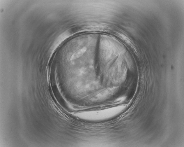 X0000059231275200511041232