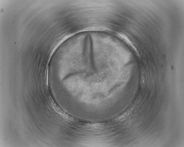 X0000059231276200511041232