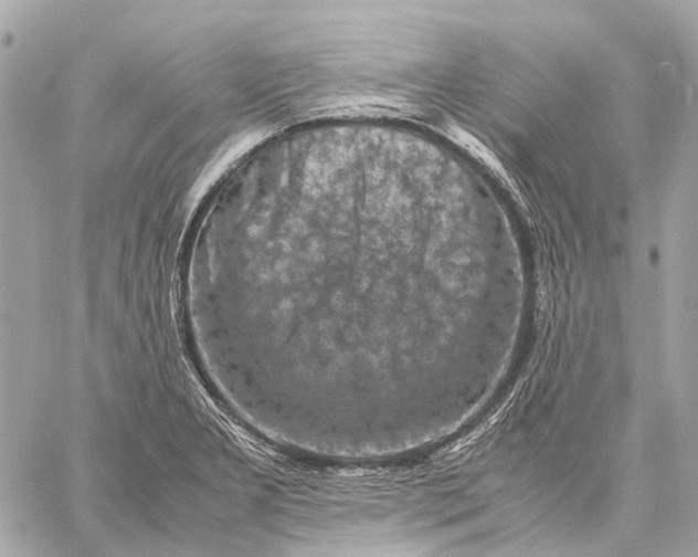 X0000059231277200511041232